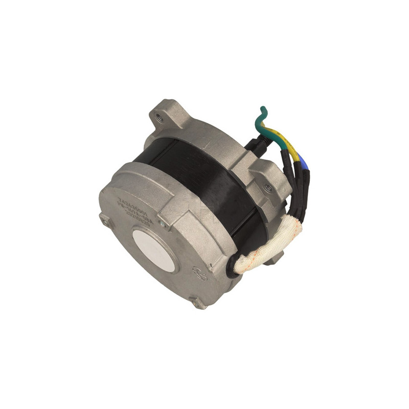 Moteur électrique tondeuse à batterie Ryobi 5131043037