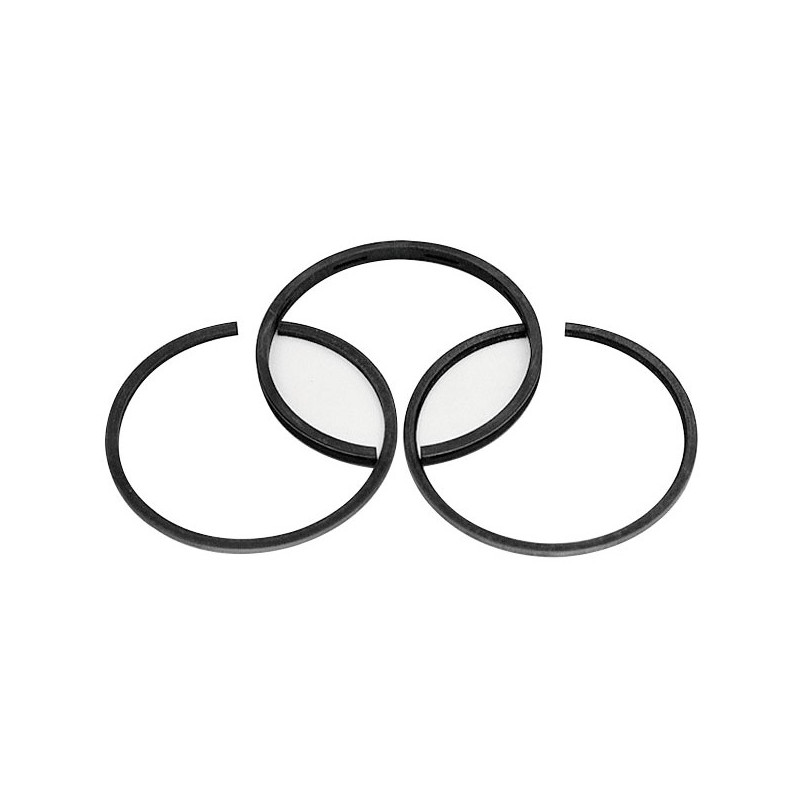 Kit segments moteur Briggs et Stratton 498680