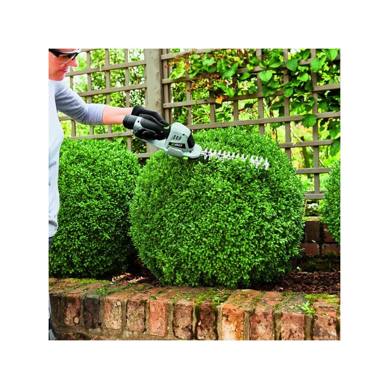 Cisaille à batterie EGO Power+ CHT2001E