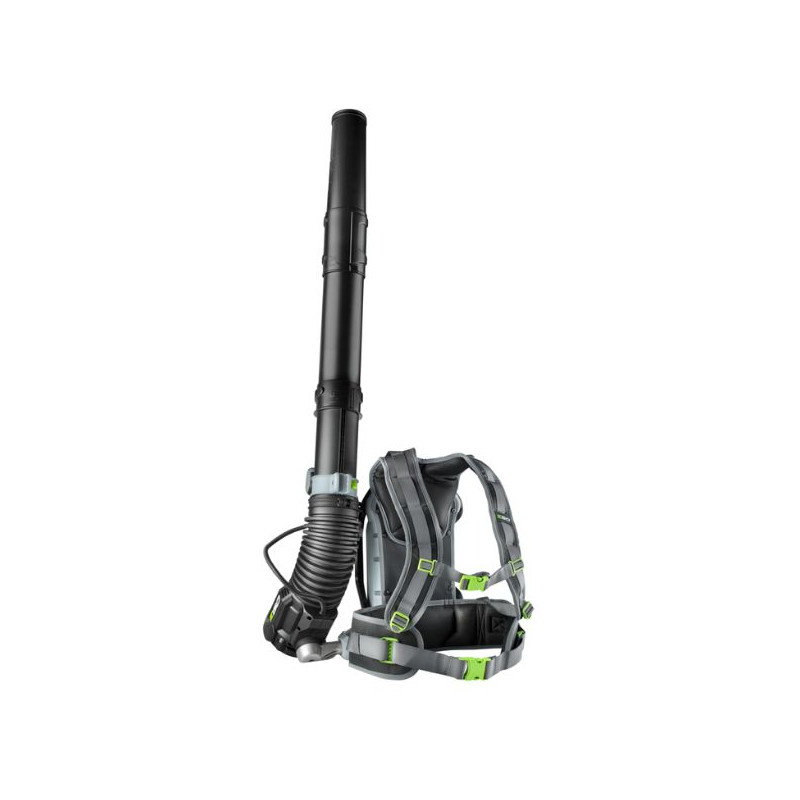 Souffleur dorsal à batterie EGO Power+ LB6000E