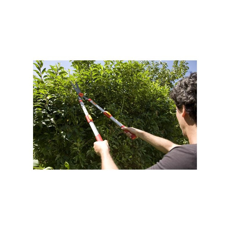 Cisaille à haie Wolf OH75T