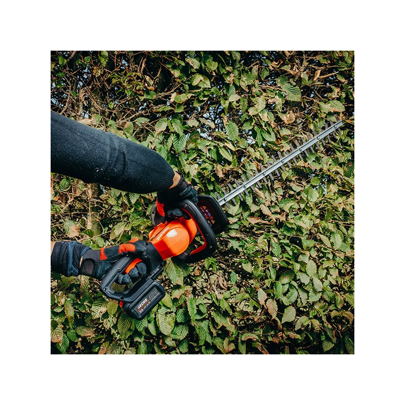 Pack taille-haies sur batterie Echo DHC310
