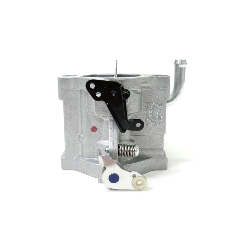 Carburateur moteur Briggs et Stratton