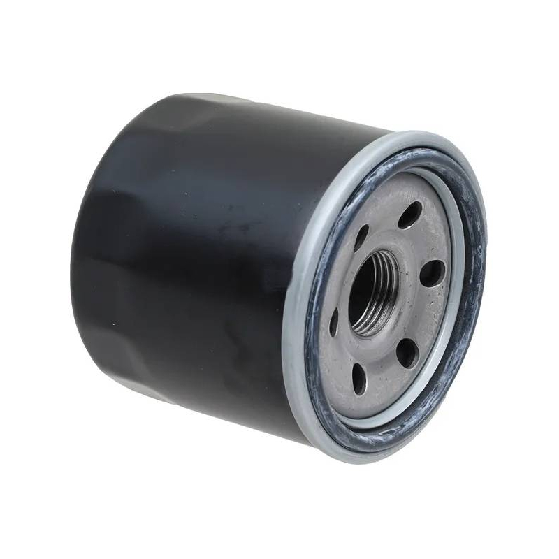 Filtre à huile moteur Stiga origine