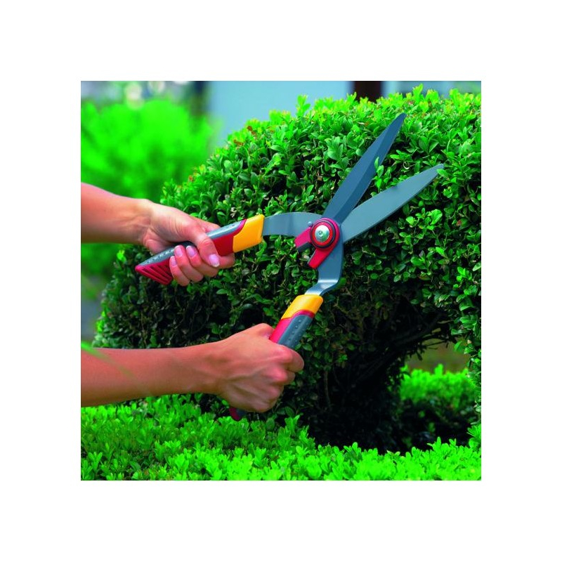 Cisaille à buis Wolf OHB