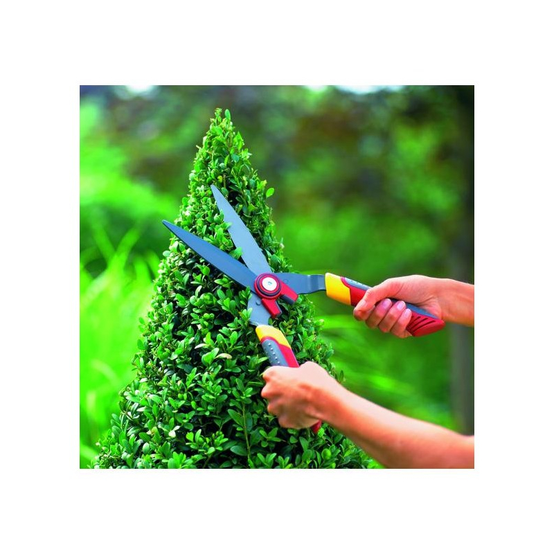 Cisaille à buis Wolf OHB