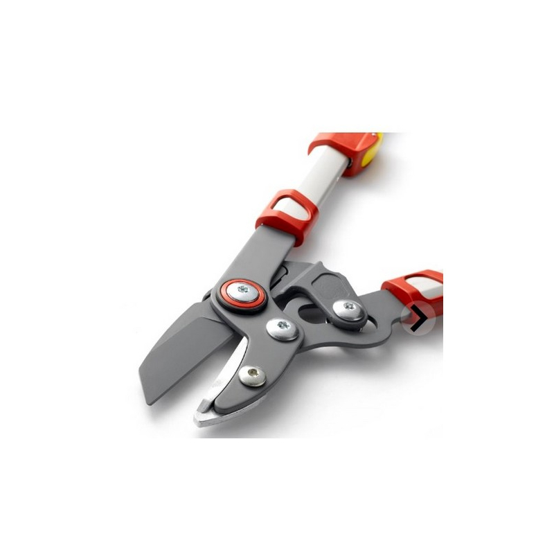 Élagueur télescopique à enclume Wolf OR900T