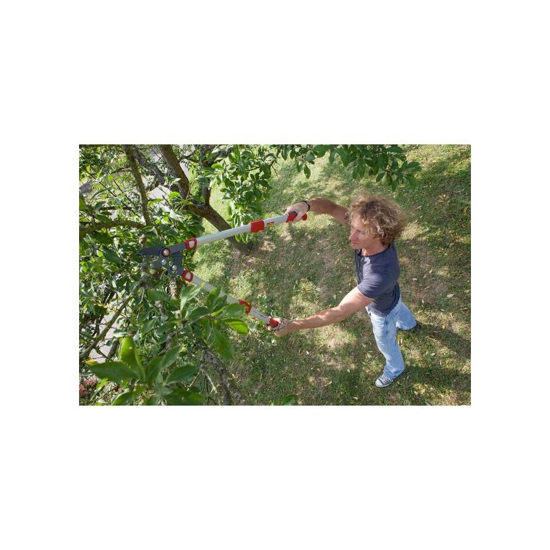 Élagueur télescopique à enclume Wolf OR900T