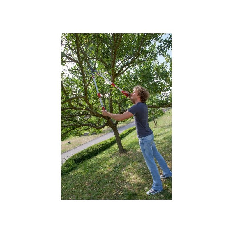 Élagueur télescopique à enclume Wolf OR900T