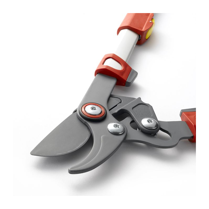 Élagueur télescopique à coupe franche Wolf OS900T