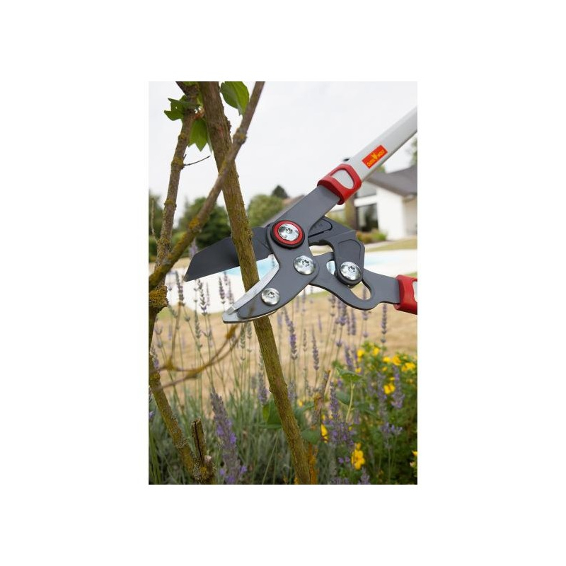 Coupe branche à enclume Wolf OR750