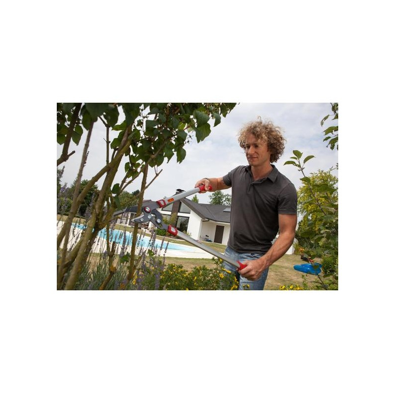 Coupe branche à enclume Wolf OR750