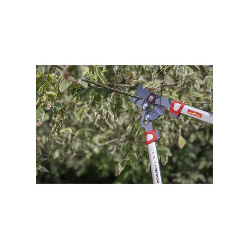 Coupe branche à coupe franche Wolf OS750