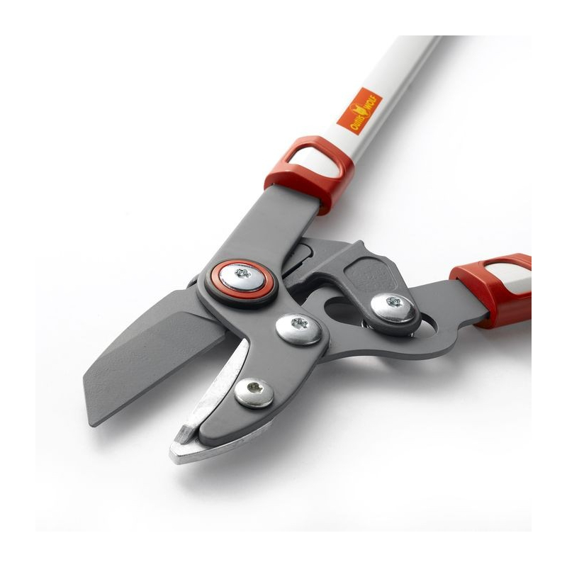 Coupe branche à enclume Wolf OR650