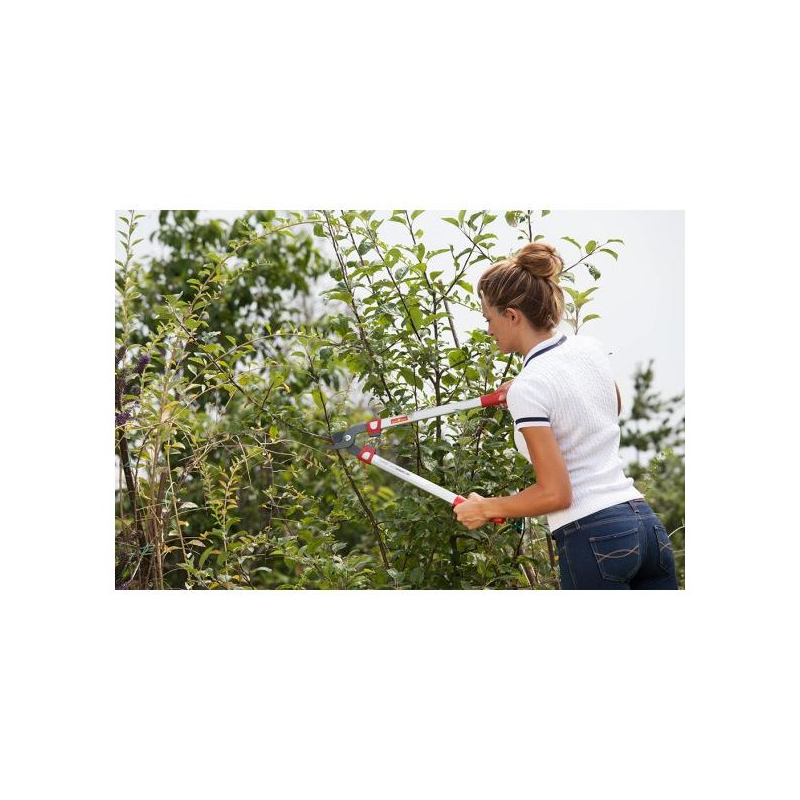 Coupe branche Wolf OS630