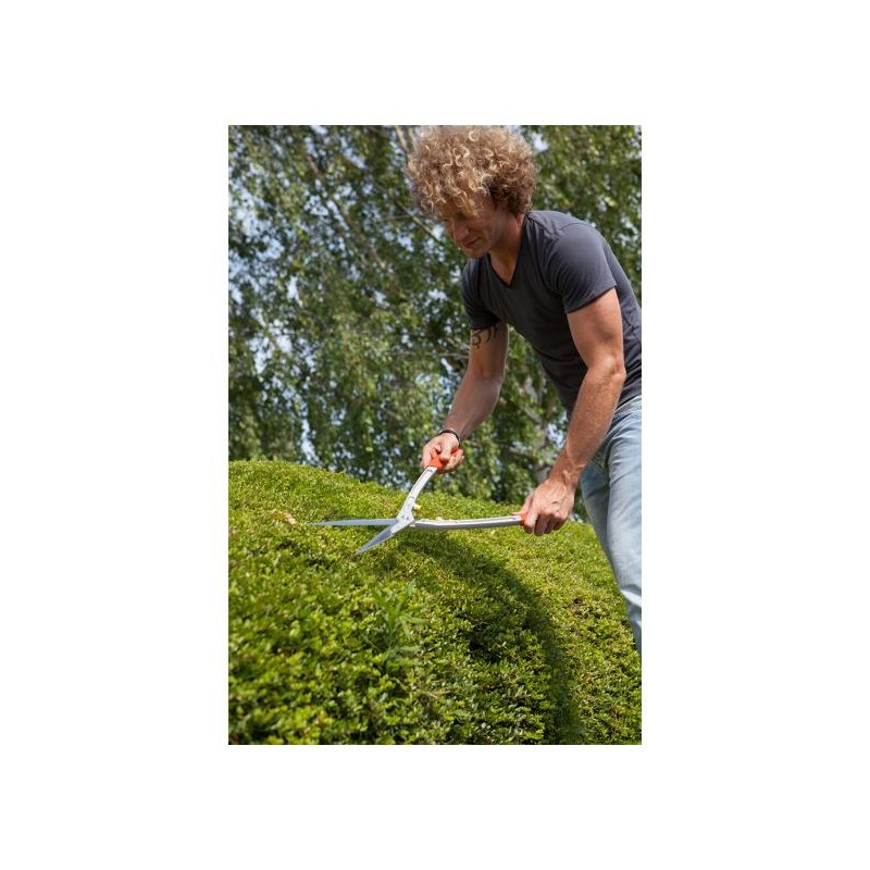 Cisaille à haies Wolf OHL