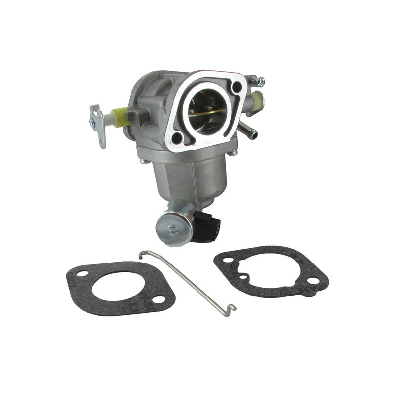 Carburateur moteur autoportée Briggs et Stratton