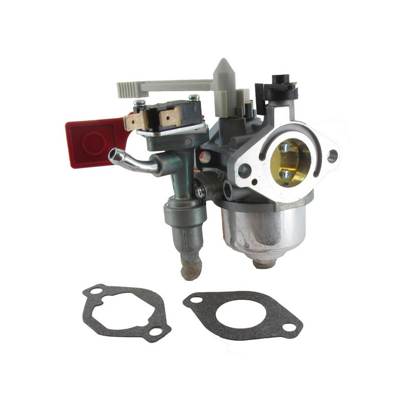Carburateur moteur autoportée Briggs et Stratton