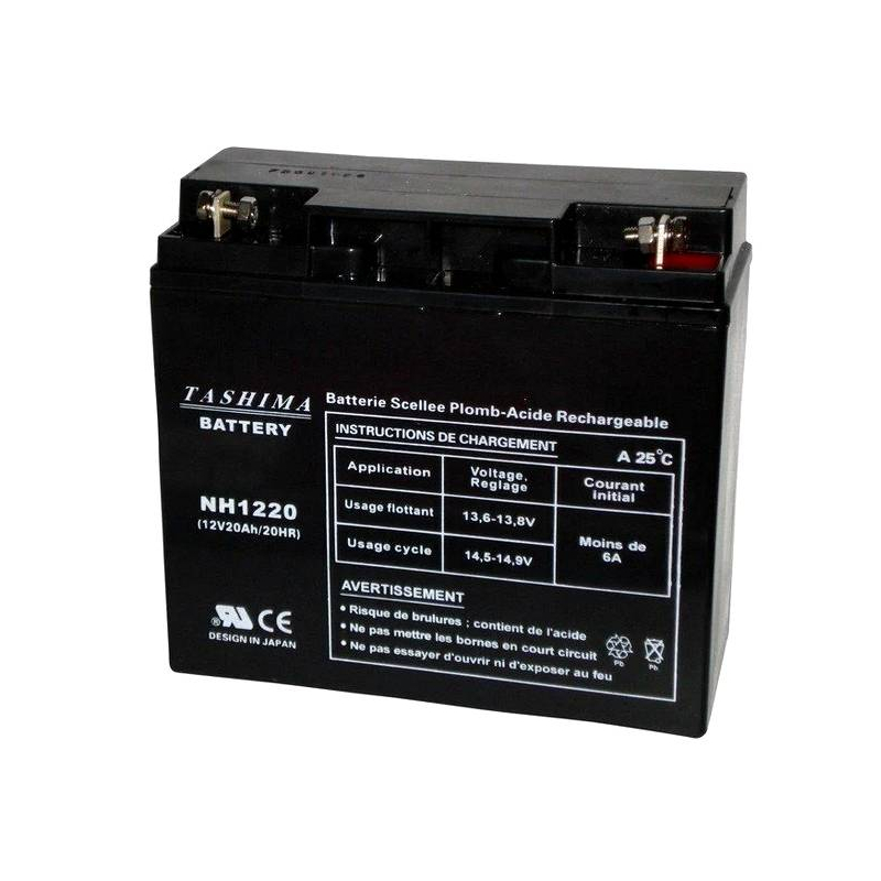 Batterie tracteur tondeuse 12V 20 Ah - NH1220