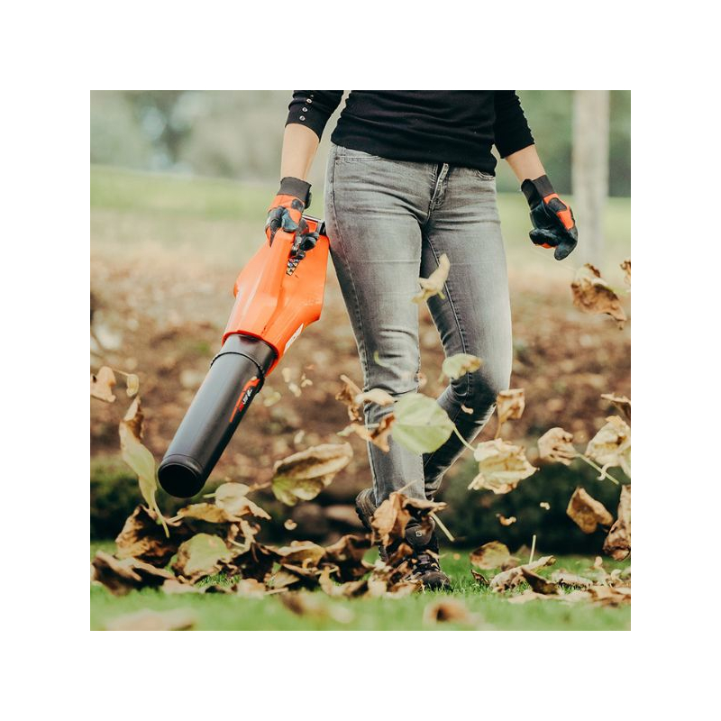 Souffleur à batterie Echo DPB310 pack