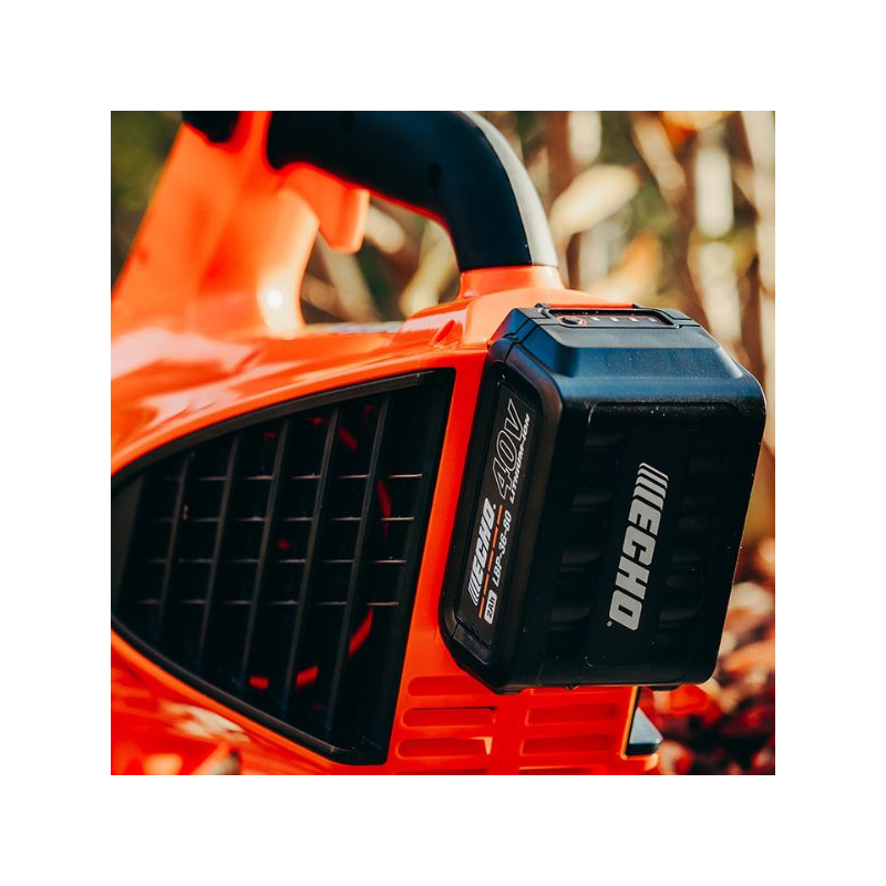 Souffleur à batterie Echo DPB310 pack