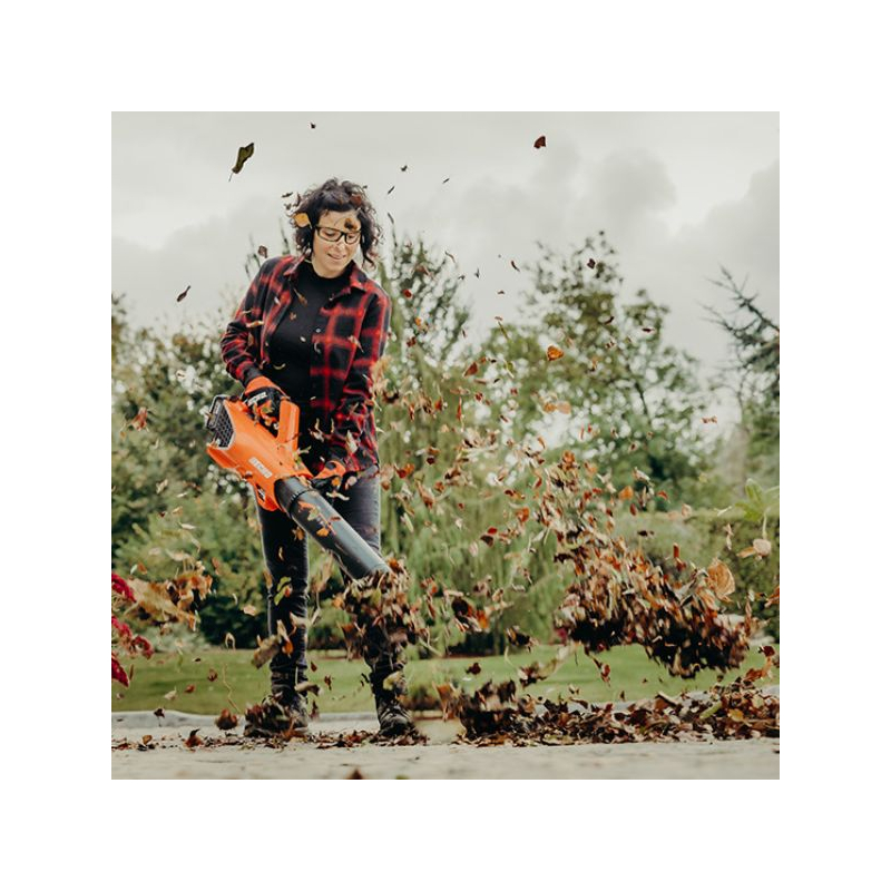 Souffleur à batterie Echo DPB310 nu