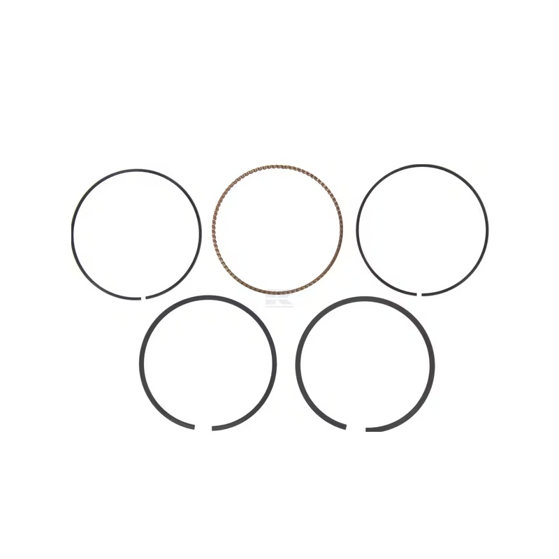 Jeu de segment moteur Briggs et Stratton Origine - 795432