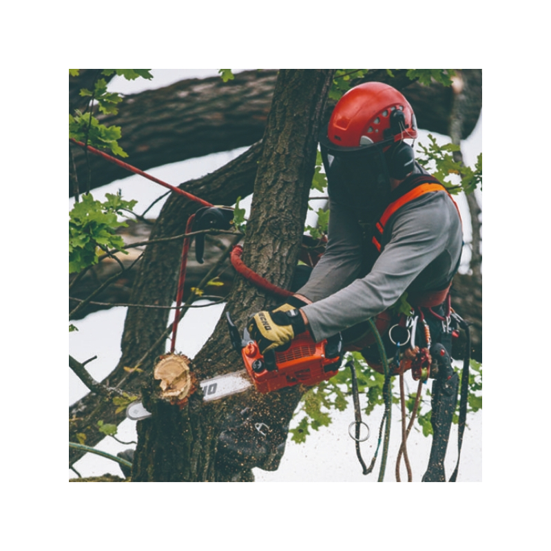 Élagueuse thermique Echo CS303T guide chaine 30 cm, moteur 30cm3