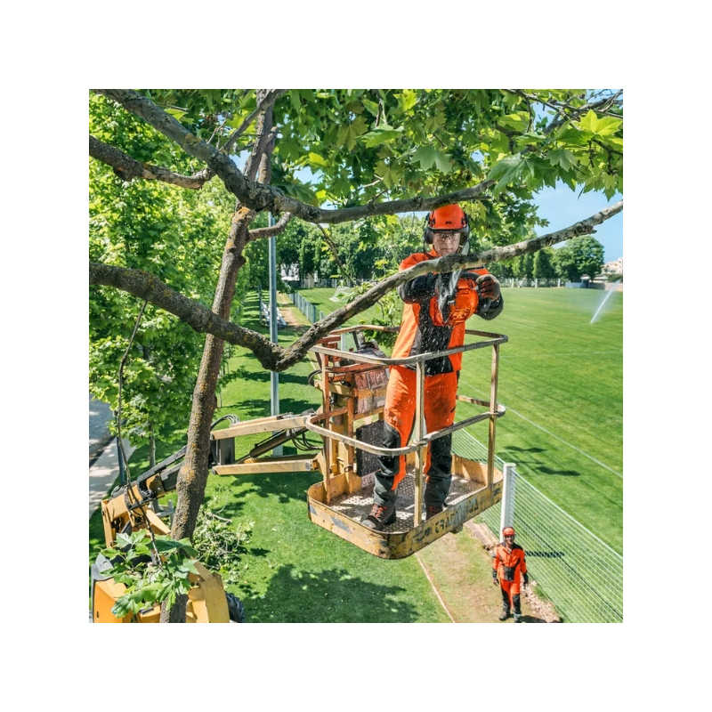 Tronçonneuse élagueuse professionnelle Husqvarna T435 - moteur 35,2 cm3