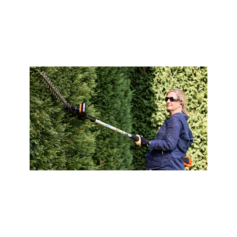 Taille-haie sur perche à batterie Echo DCHCA310, coupe 49cm