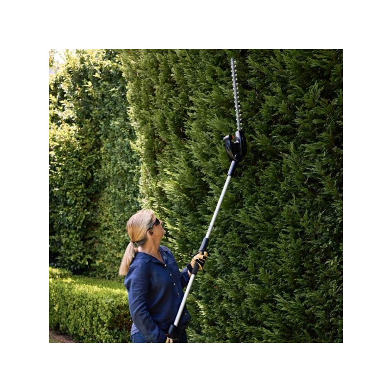 Taille-haie sur perche à batterie Echo DCHCA310, coupe 49cm