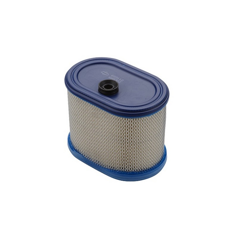 Cartouche Filtre à air moteur Briggs Stratton - 695302