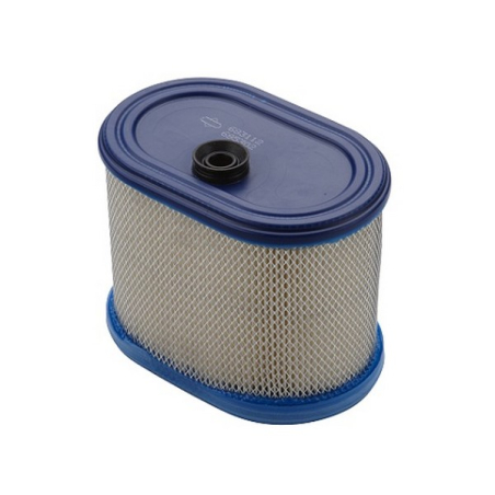 Cartouche Filtre à air moteur Briggs Stratton - 695302