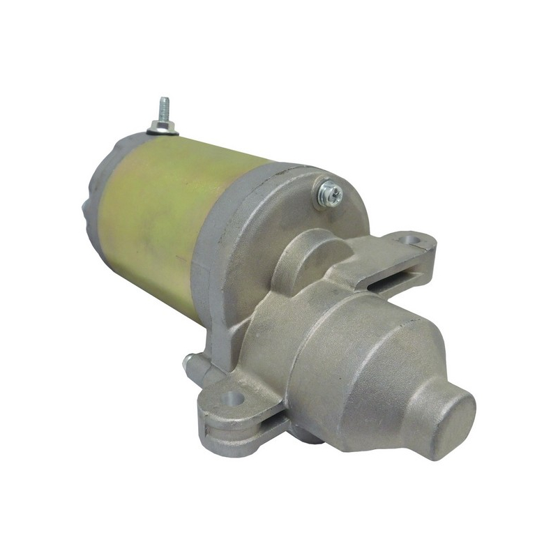 Démarreur autoportée moteur MTD - 751-12207