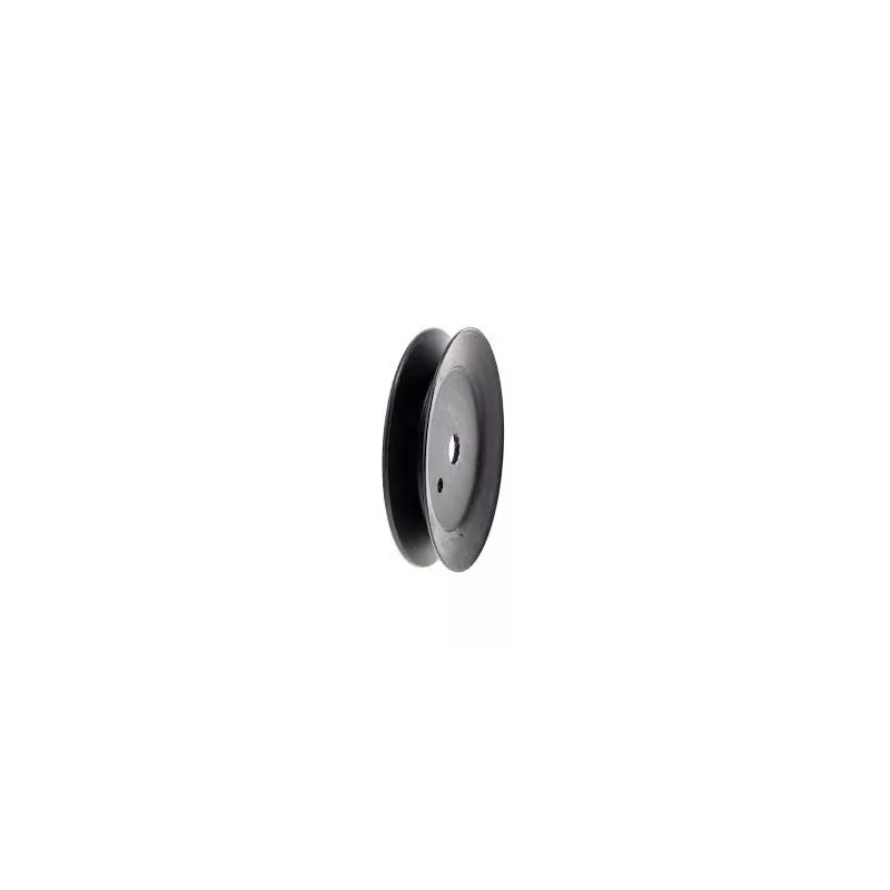 Poulie palier - XT3 QS137