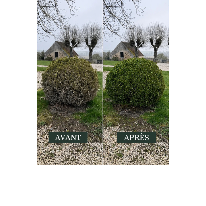 Colorant naturel vert prairie pour pelouse jaunie couvre 200m2 - 500ml