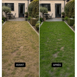 Peinture gazon vert prairie à pulvériser couvre surface 400m2 - 1L