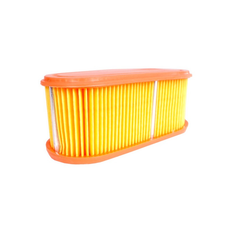 Filtre a air moteur Briggs & Stratton 795066, 796254