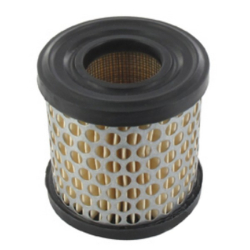 Filtre à air moteur Briggs et Stratton - 392308