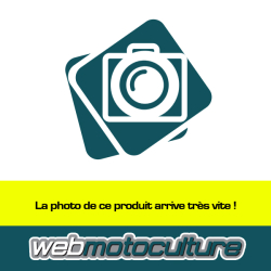 Ressort régulation Briggs et Stratton 08P502-0122