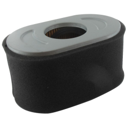 Filtre à air moteur briggs et Stratton - 797033