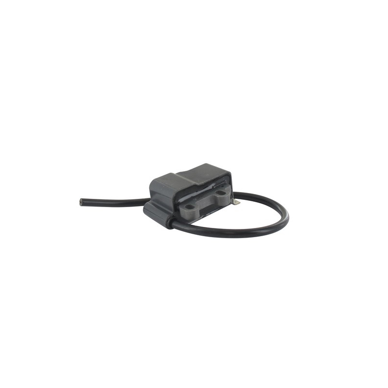 Module allumage souffleur Echo - A411000501