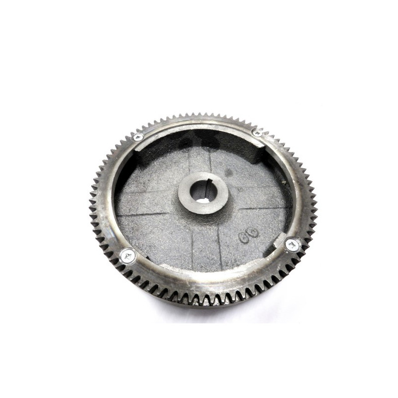 Volant magnétique moteur GGP