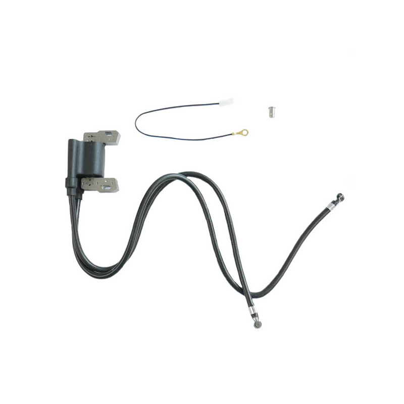Bobine allumage + magnétron moteur Briggs et Stratton