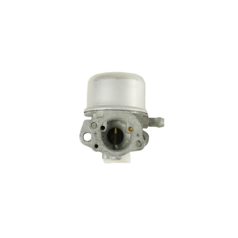 Carburateur moteur Briggs et Stratton Intek