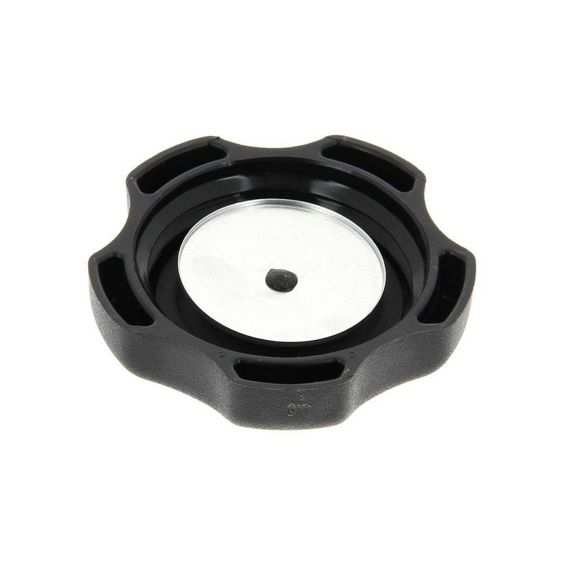 Bouchon de réservoir Briggs et Stratton