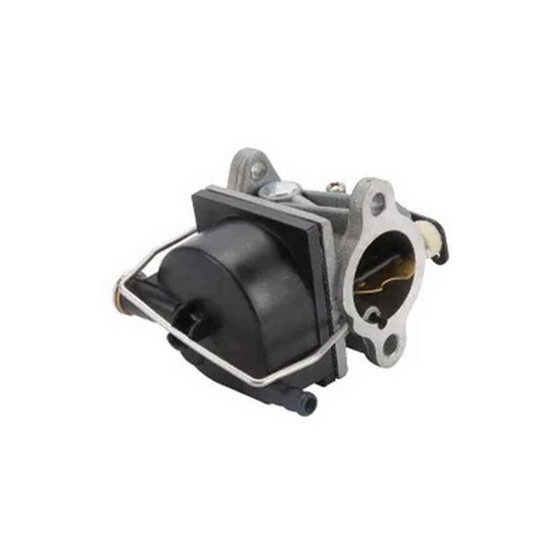 Carburateur Moteur Tecumseh OHV, OV