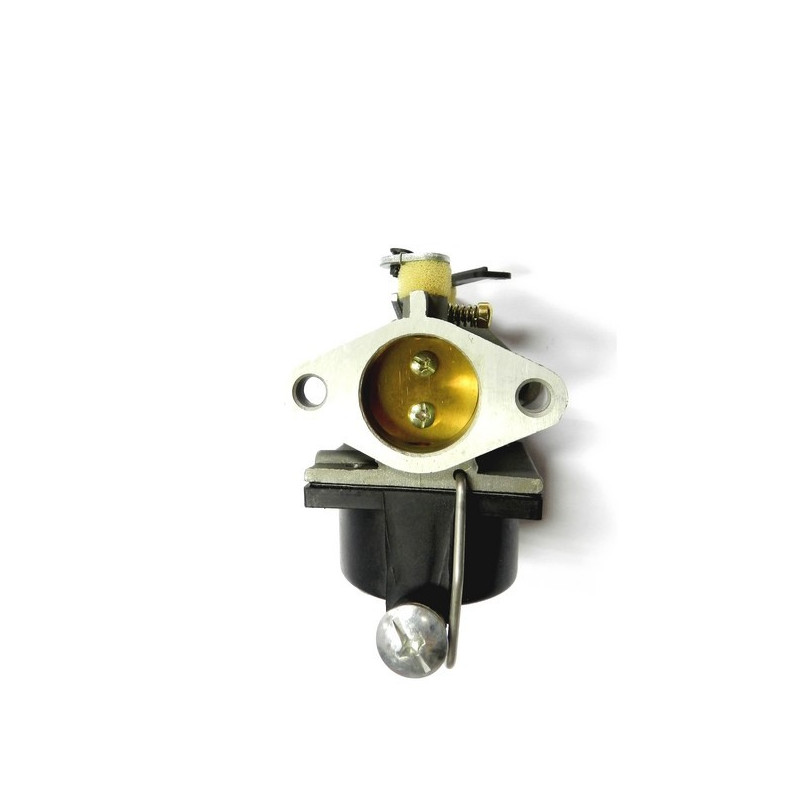 Carburateur Moteur Tecumseh OHV, OV