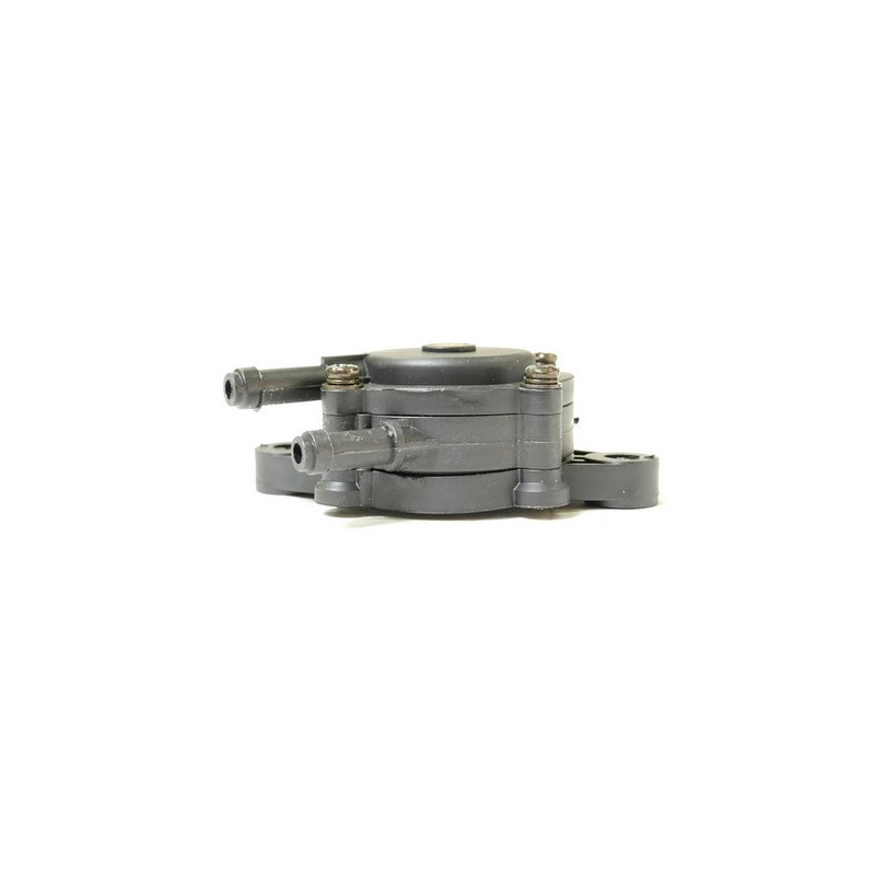 Pompe à essence universelle Briggs et Stratton, Honda, Kohler, Kawasaki