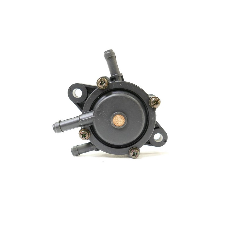 Pompe à essence universelle Briggs et Stratton, Honda, Kohler, Kawasaki